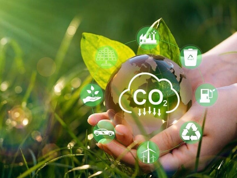 co2-reduction-hands