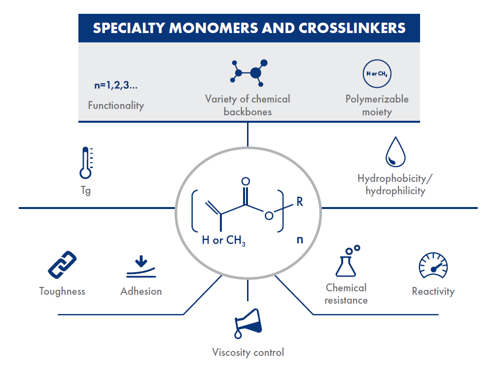 Specialty-monomers-and-crosslinkers-infographic.png
